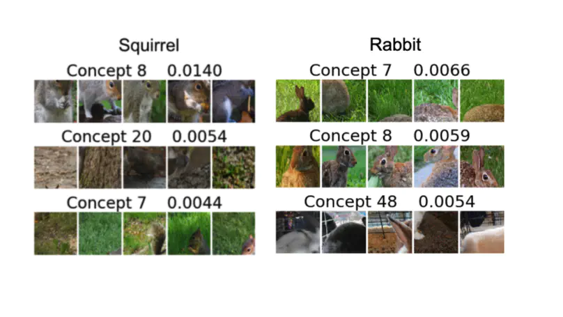 On Completeness-Aware Concept-Based Explanations in Deep Neural Networks